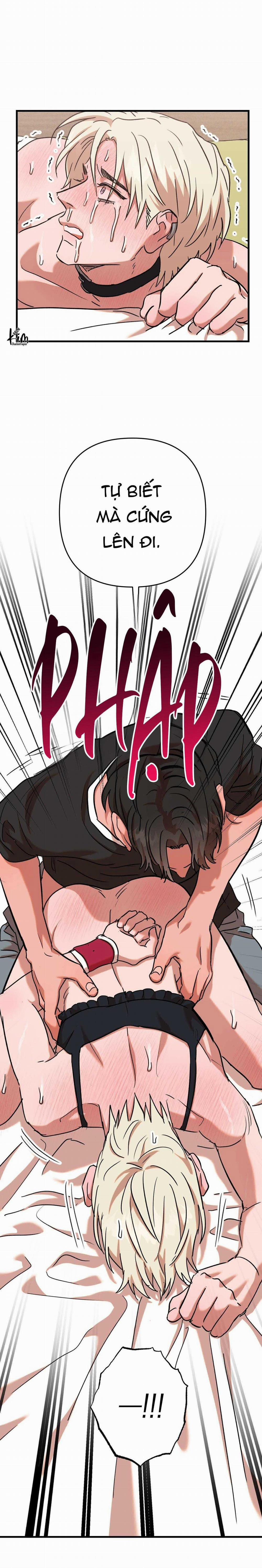 Bắt Tại Trận 19 trang 41