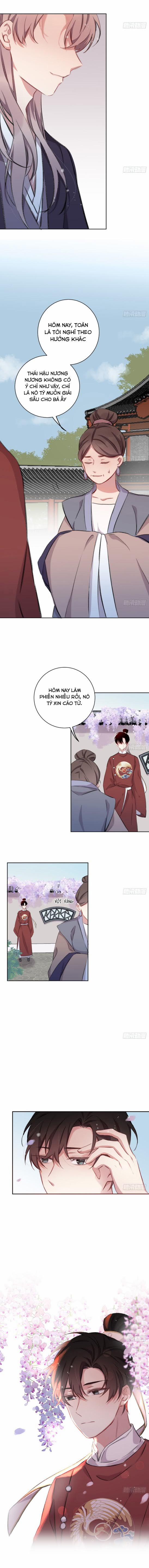 Bất Tảo Triều 11 trang 13