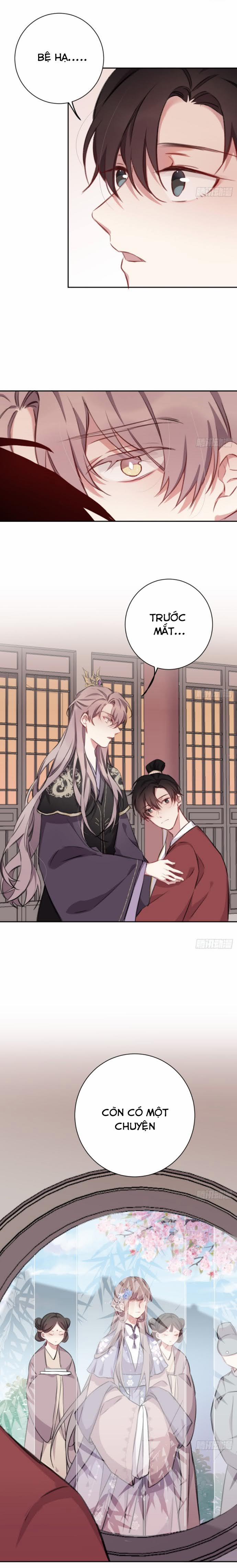 Bất Tảo Triều 13 trang 14