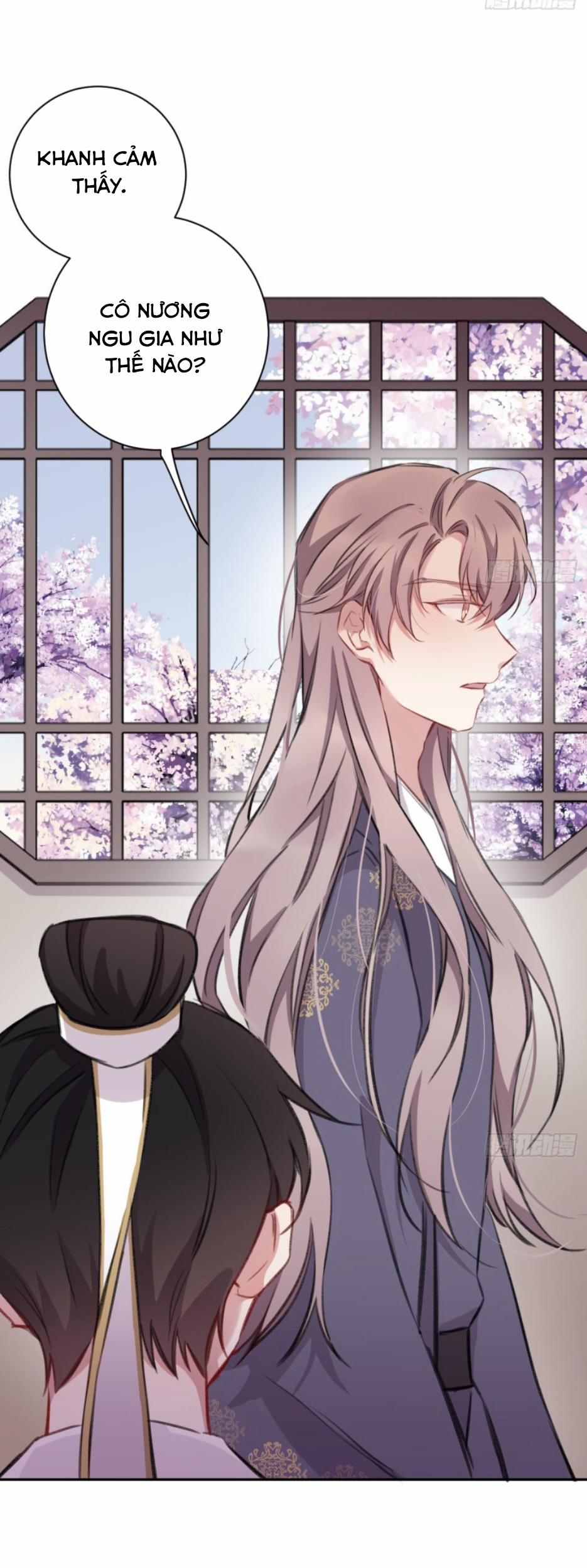 Bất Tảo Triều 14 trang 13