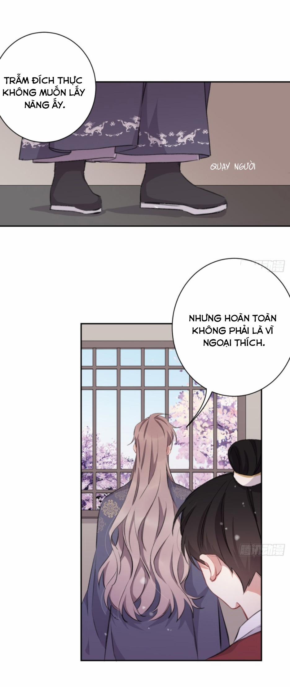 Bất Tảo Triều 14 trang 19