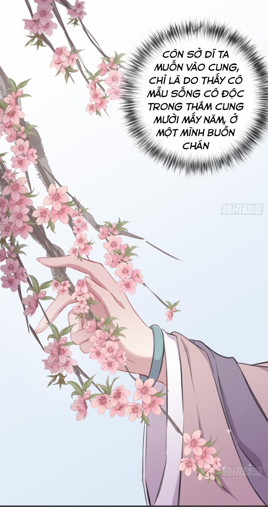 Bất Tảo Triều 14 trang 8