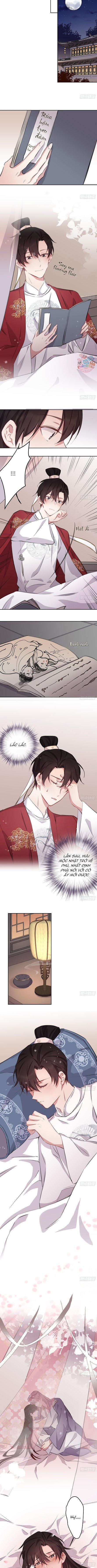 Bất Tảo Triều 19 trang 2