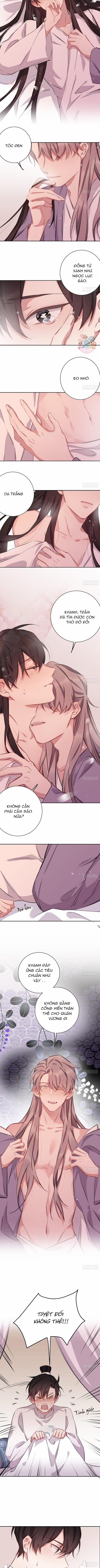 Bất Tảo Triều 19 trang 3