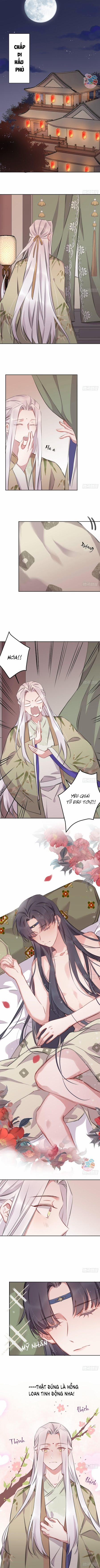 Bất Tảo Triều 21 trang 1