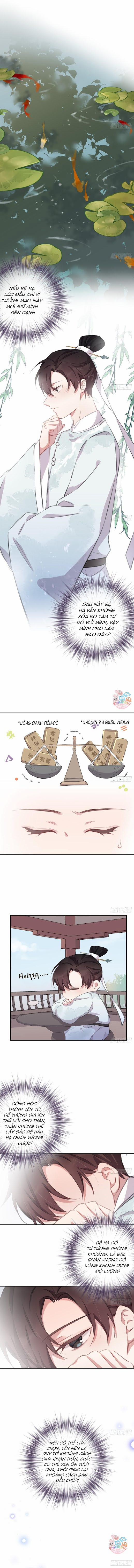 Bất Tảo Triều 23 trang 5