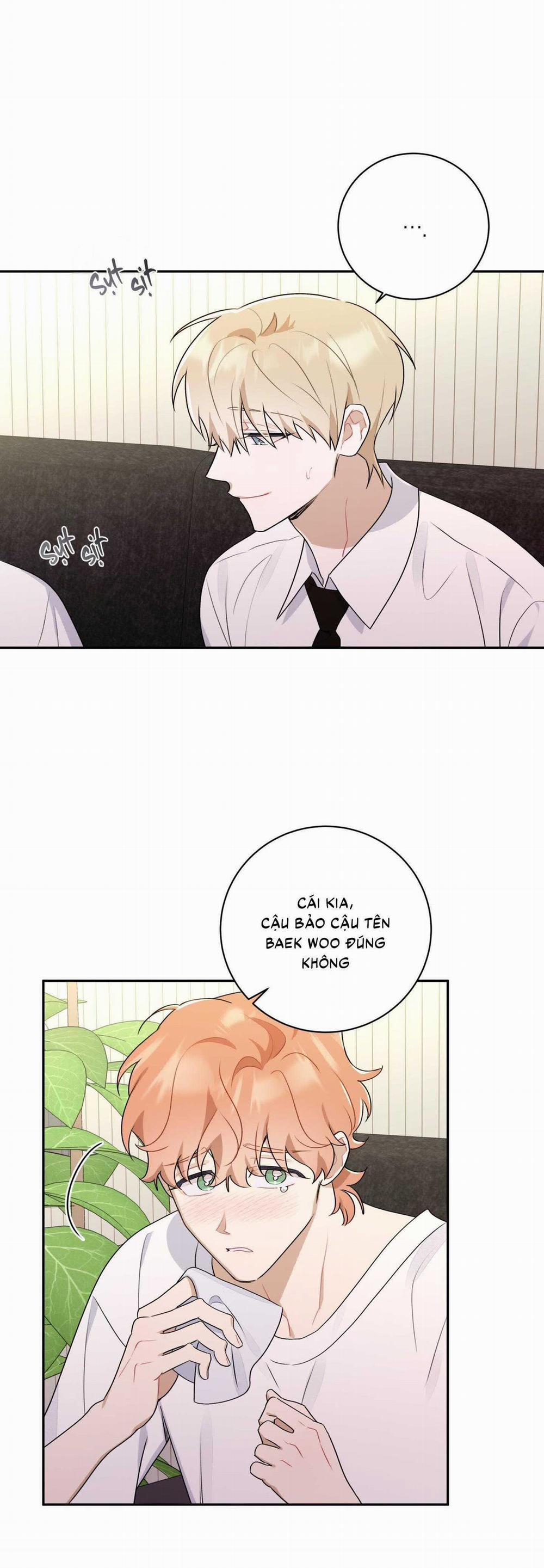 Bắt Tay Hả, Thôi Bỏ Đi! 24 trang 23