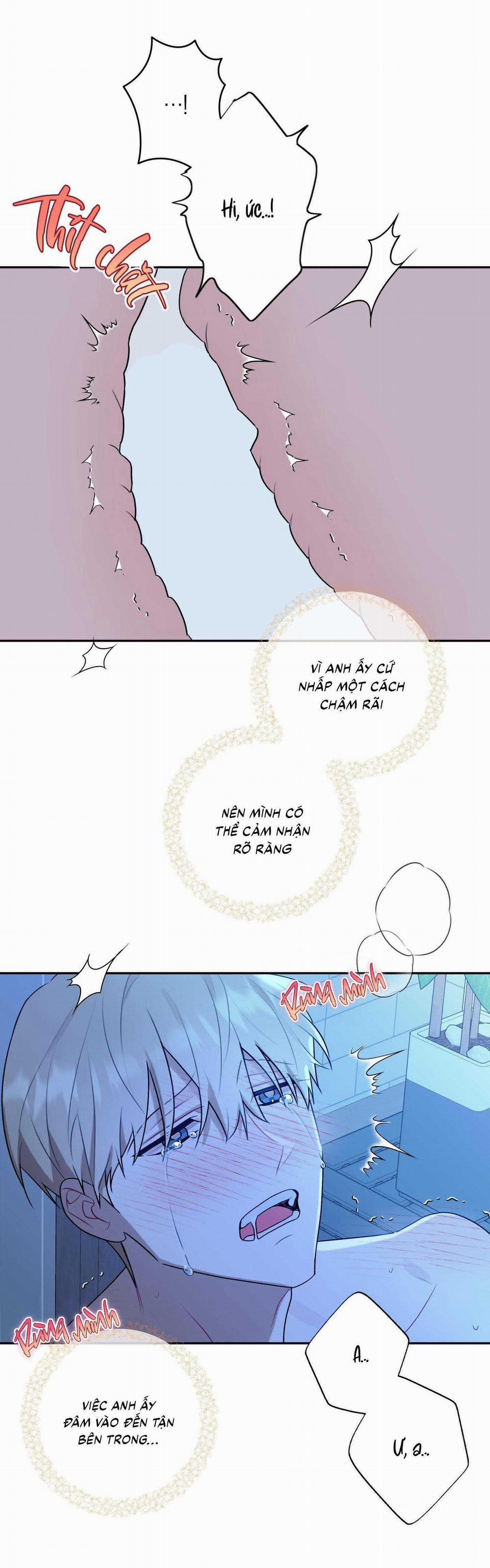 Bắt Tay Hả, Thôi Bỏ Đi! 26 trang 21