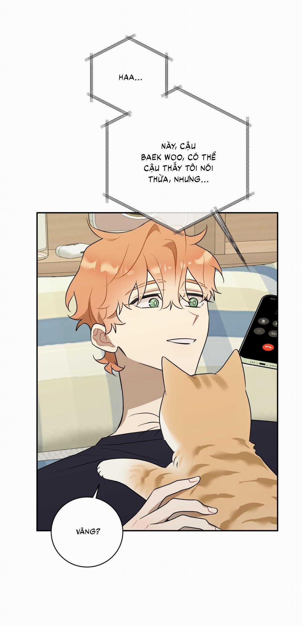 Bắt Tay Hả, Thôi Bỏ Đi! 33 trang 8