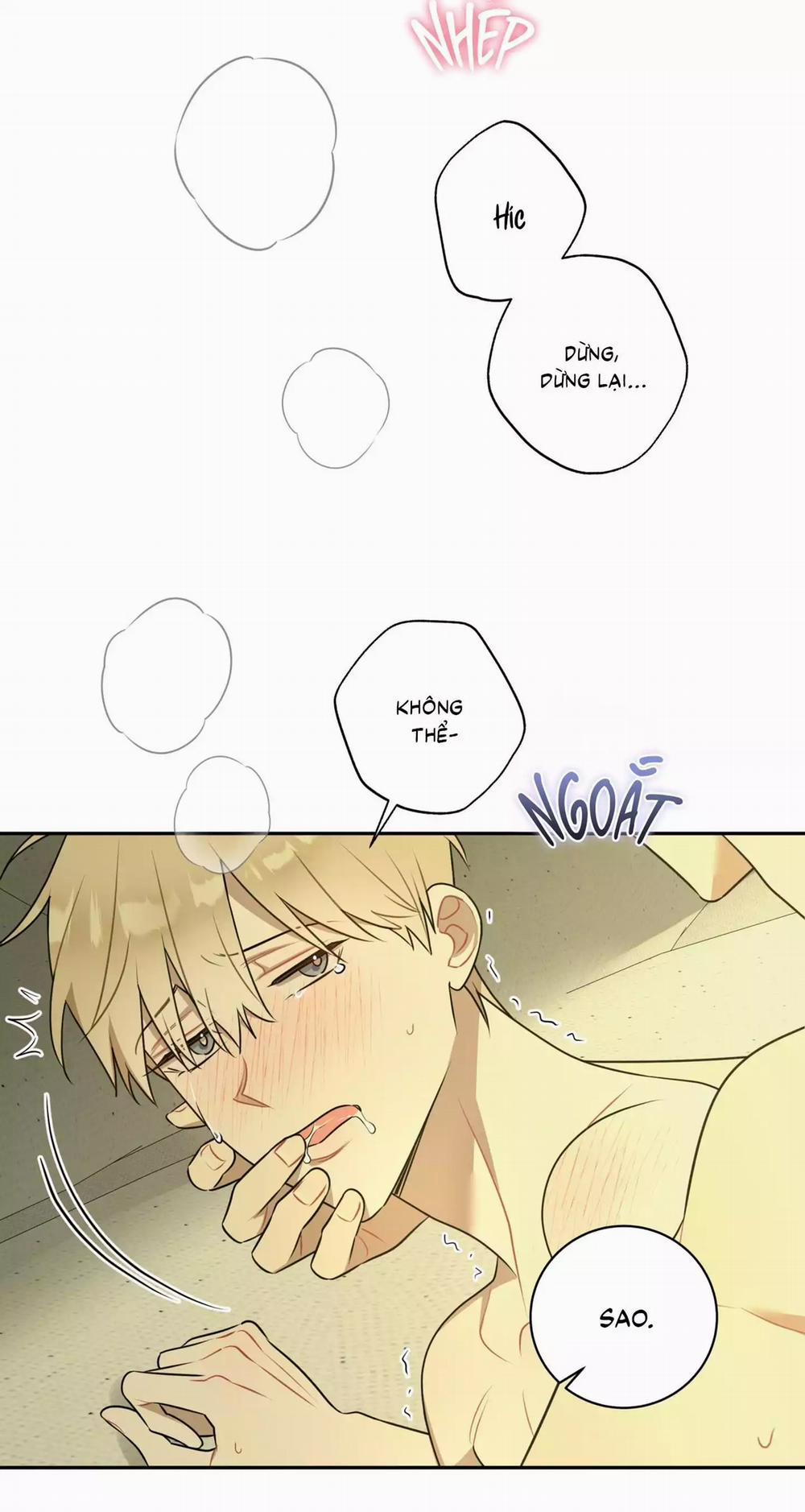 Bắt Tay Hả, Thôi Bỏ Đi! 36 trang 37