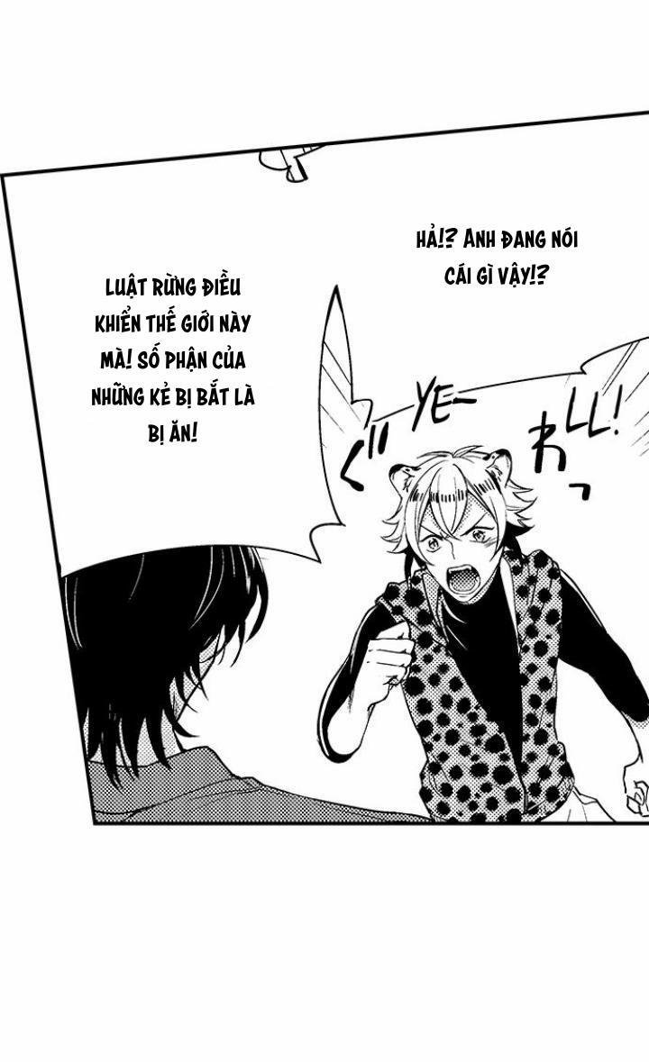 Bắt trọn bữa tiệc 1 trang 18