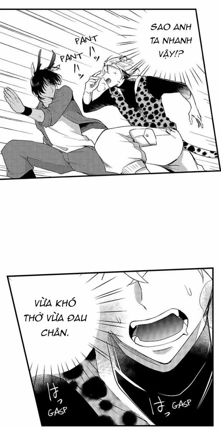 Bắt trọn bữa tiệc 2 trang 13