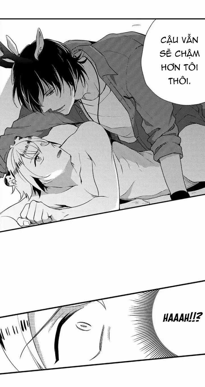 Bắt trọn bữa tiệc 3 trang 15