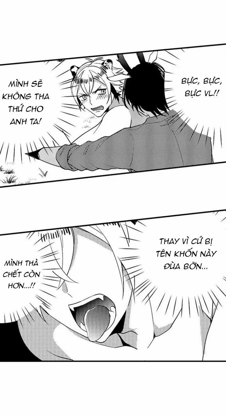 Bắt trọn bữa tiệc 3 trang 16