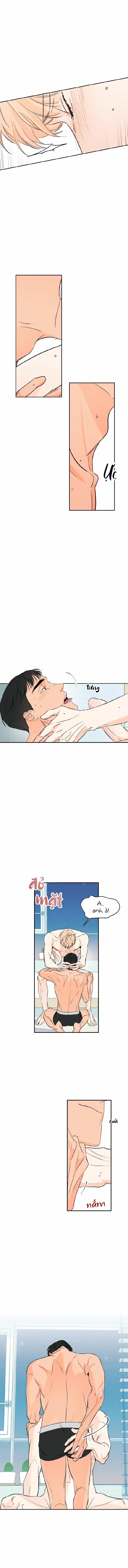 Bầu Trời Của Đại Dương 3 trang 5