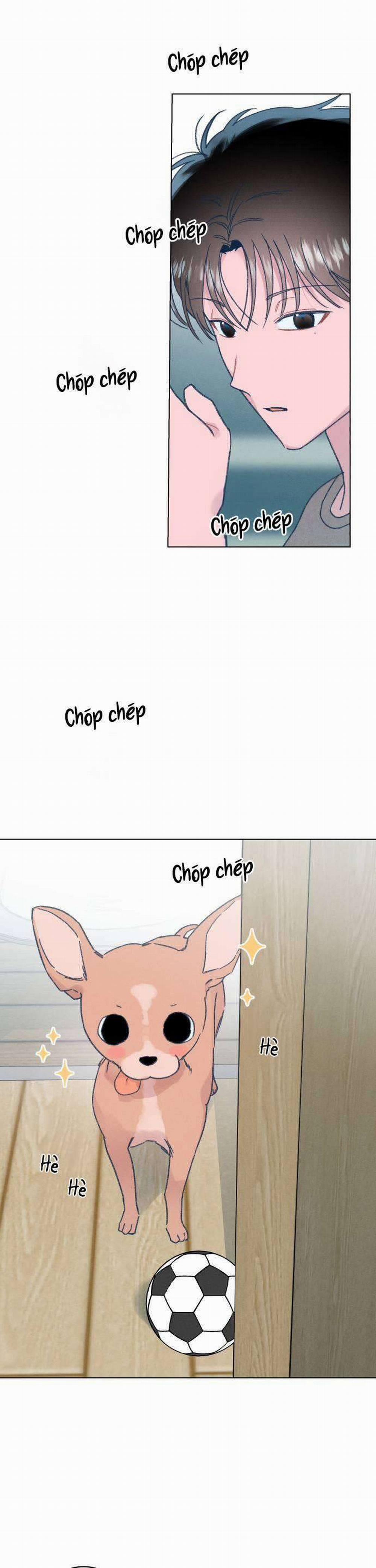 Bầu Trời Mùa Hạ Dấu Yêu 10 trang 24