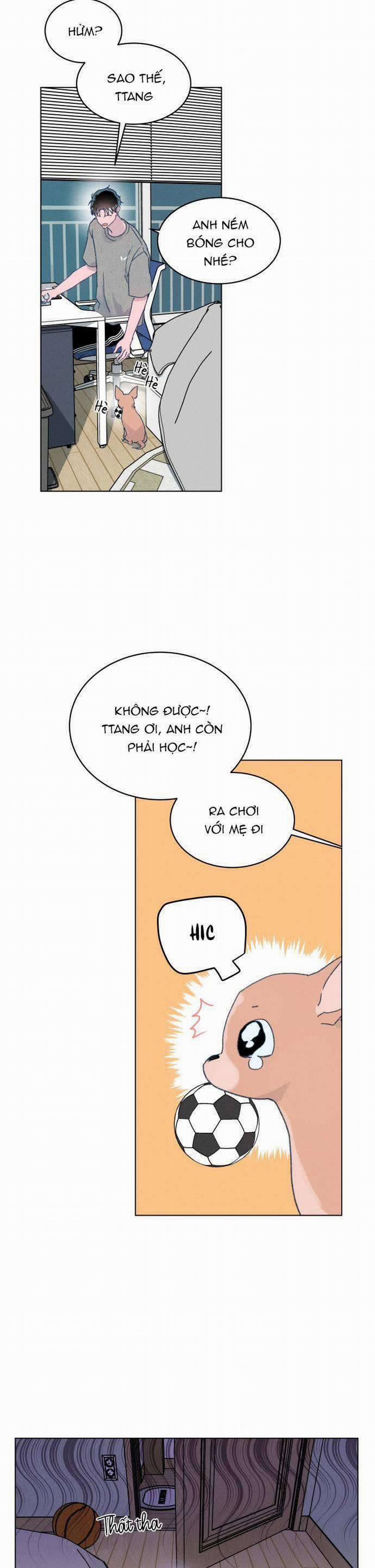 Bầu Trời Mùa Hạ Dấu Yêu 10 trang 25