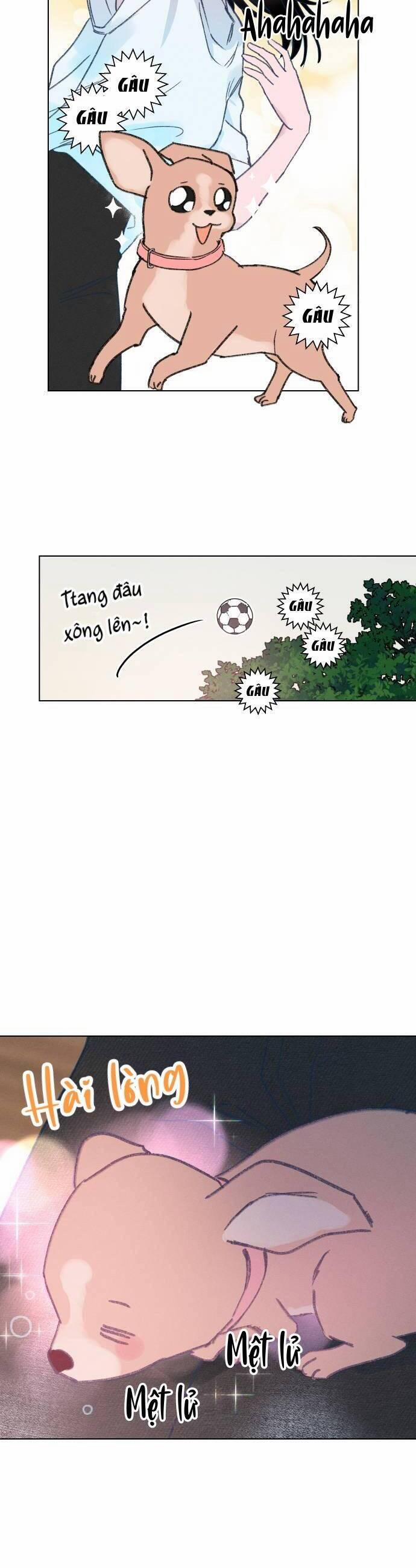 Bầu Trời Mùa Hạ Dấu Yêu 16 trang 29