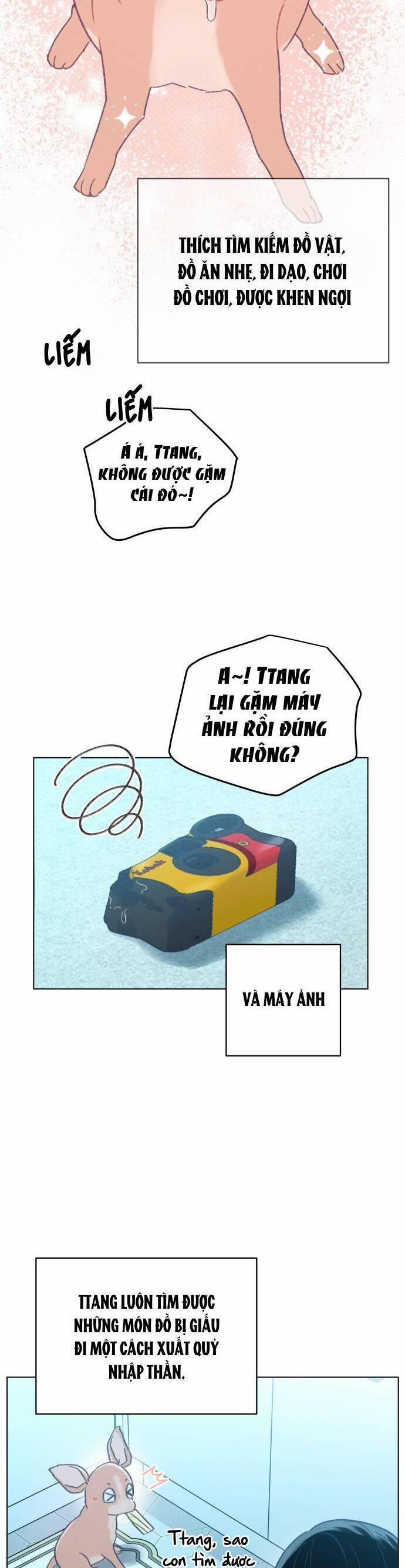 Bầu Trời Mùa Hạ Dấu Yêu 34 trang 2