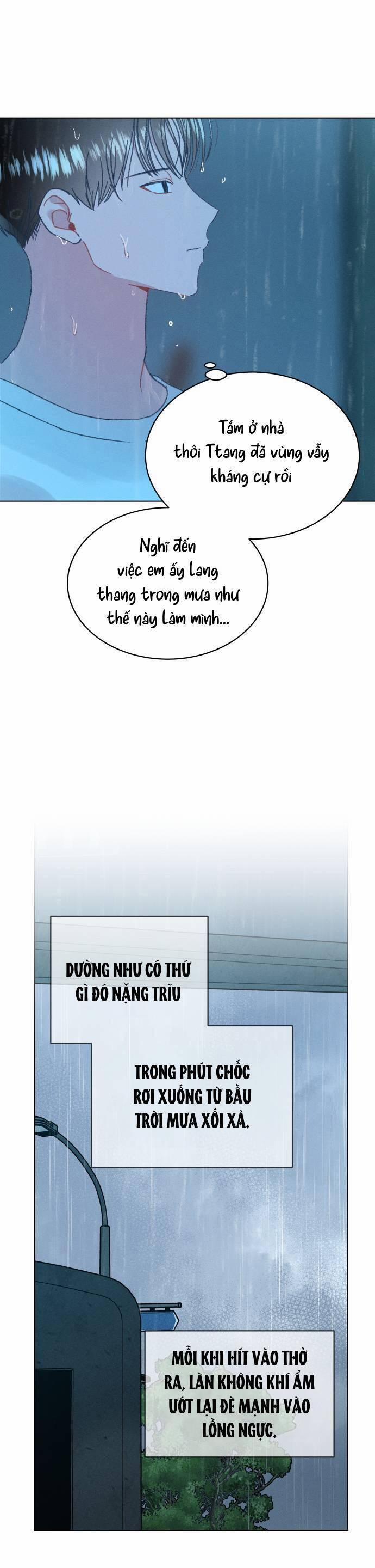 Bầu Trời Mùa Hạ Dấu Yêu 34 trang 7