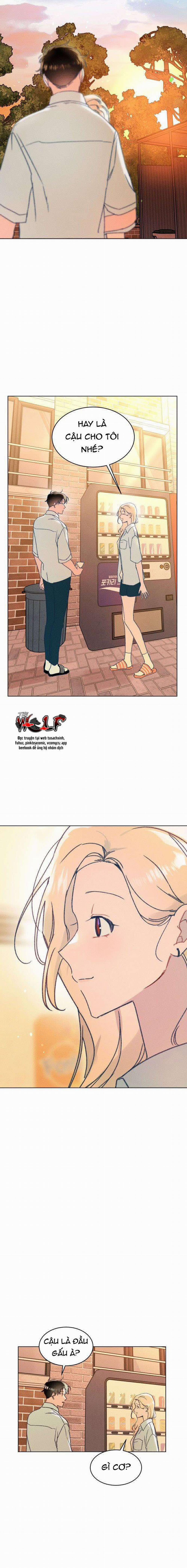 Bầu Trời Mùa Hạ Dấu Yêu 6 trang 11