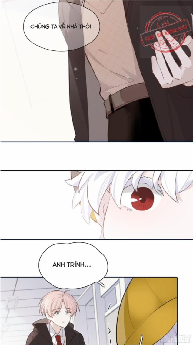 Báu Vật Chia Đôi 12 trang 14