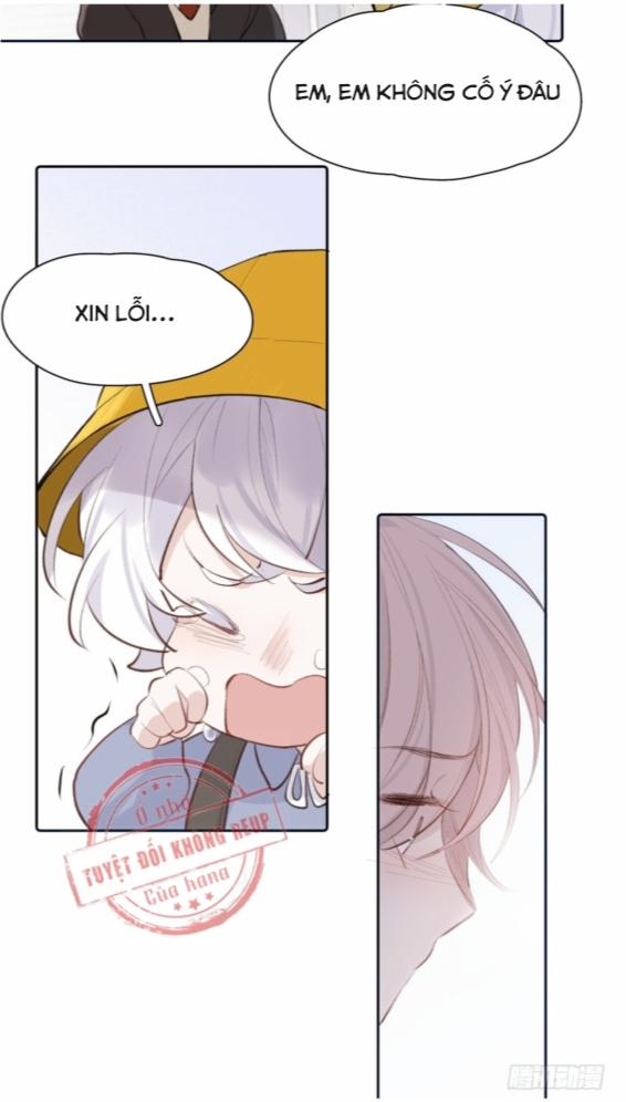 Báu Vật Chia Đôi 12 trang 15