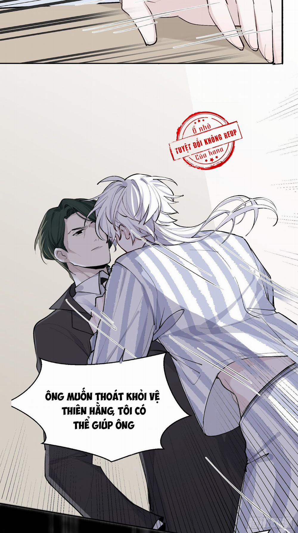 Báu Vật Chia Đôi 13 trang 15