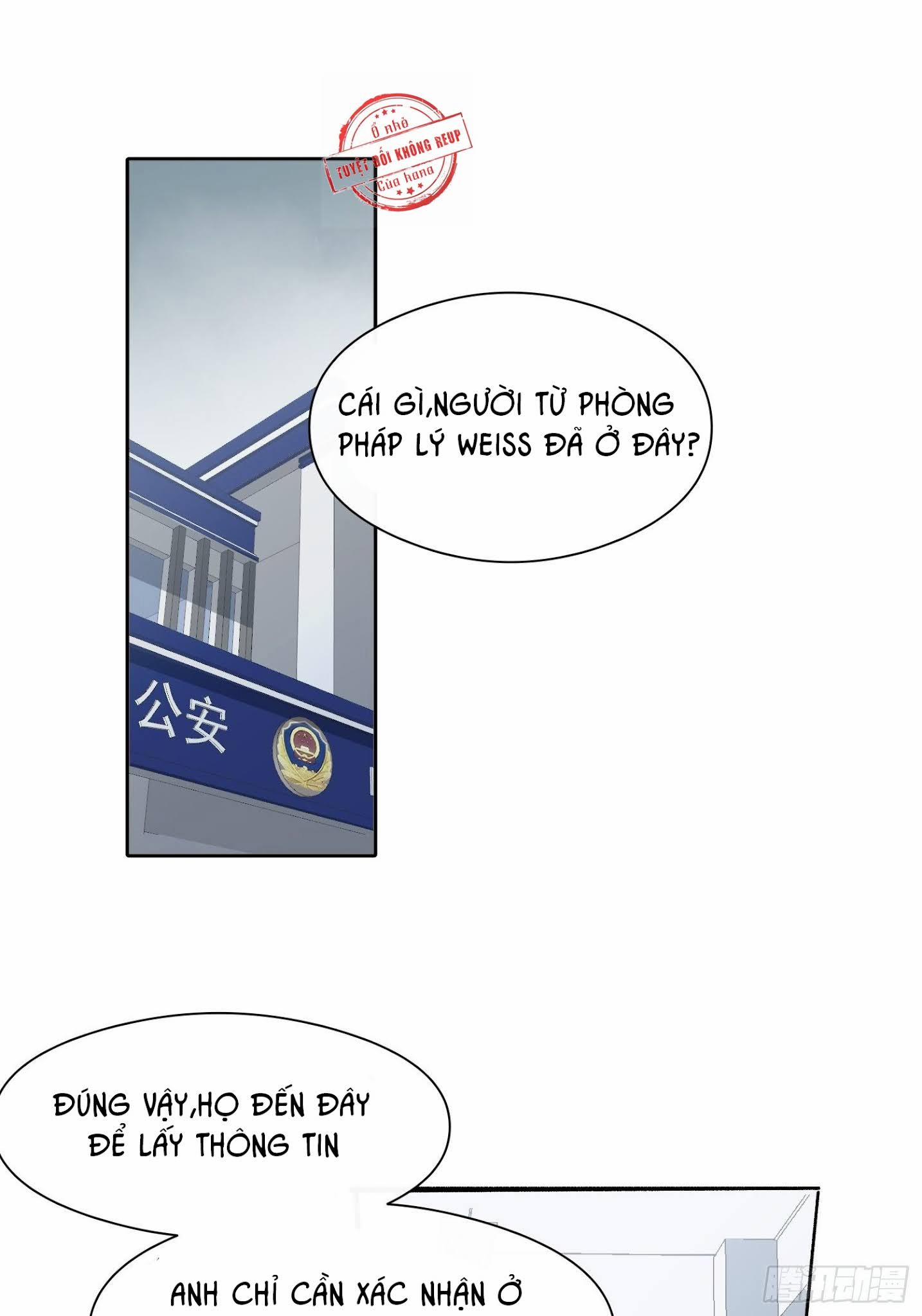 Báu Vật Chia Đôi 14 trang 2