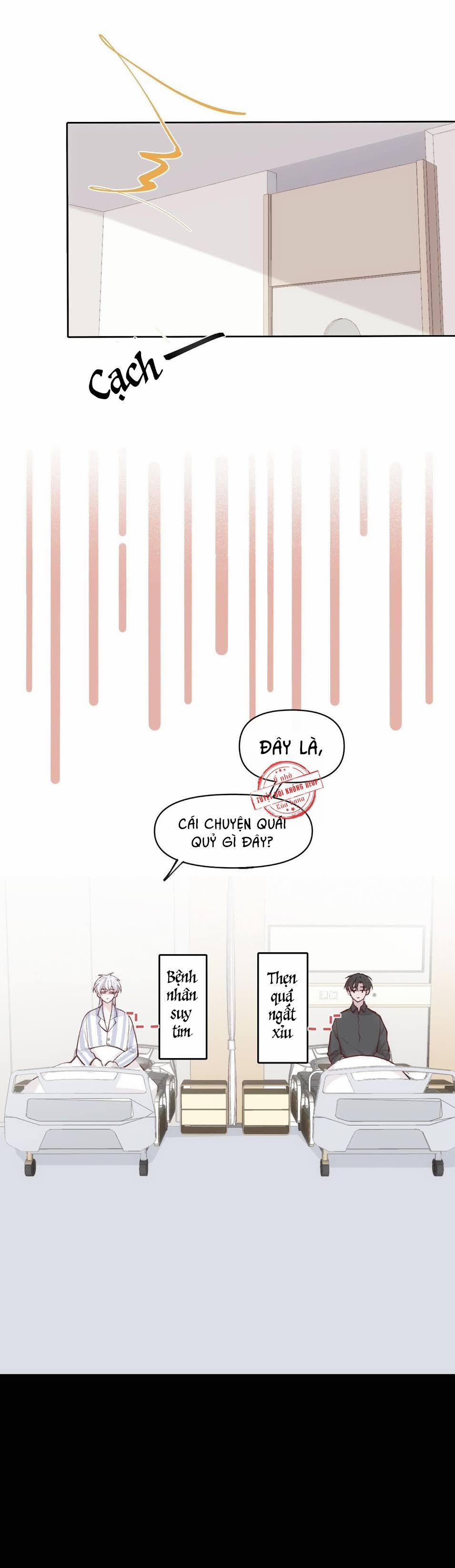 Báu Vật Chia Đôi 17 trang 2