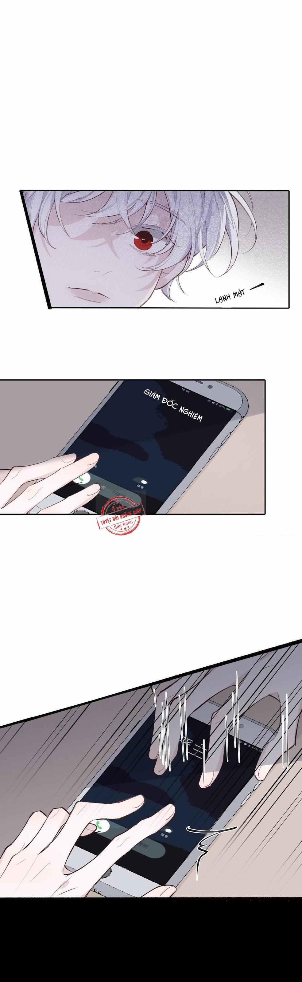 Báu Vật Chia Đôi 17 trang 6