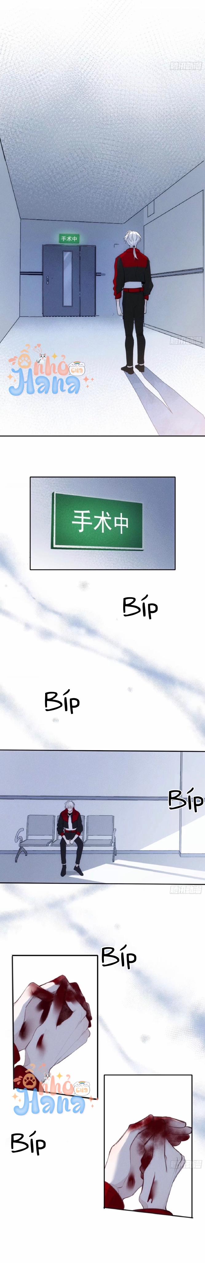 Báu Vật Chia Đôi 24 trang 2