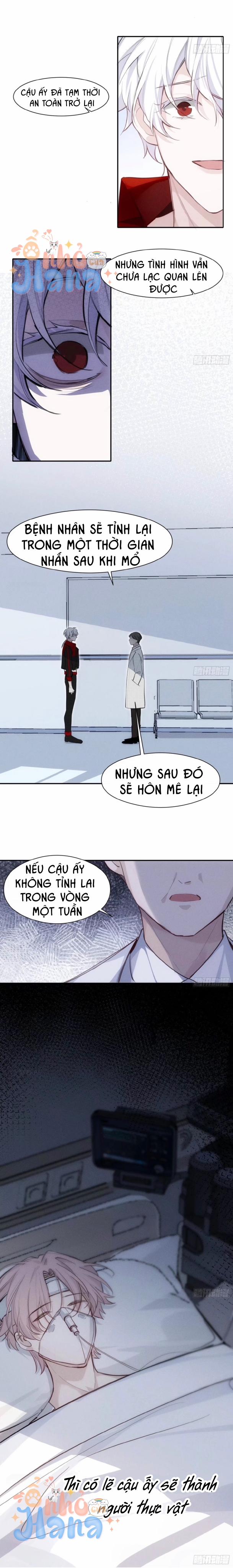 Báu Vật Chia Đôi 24 trang 6