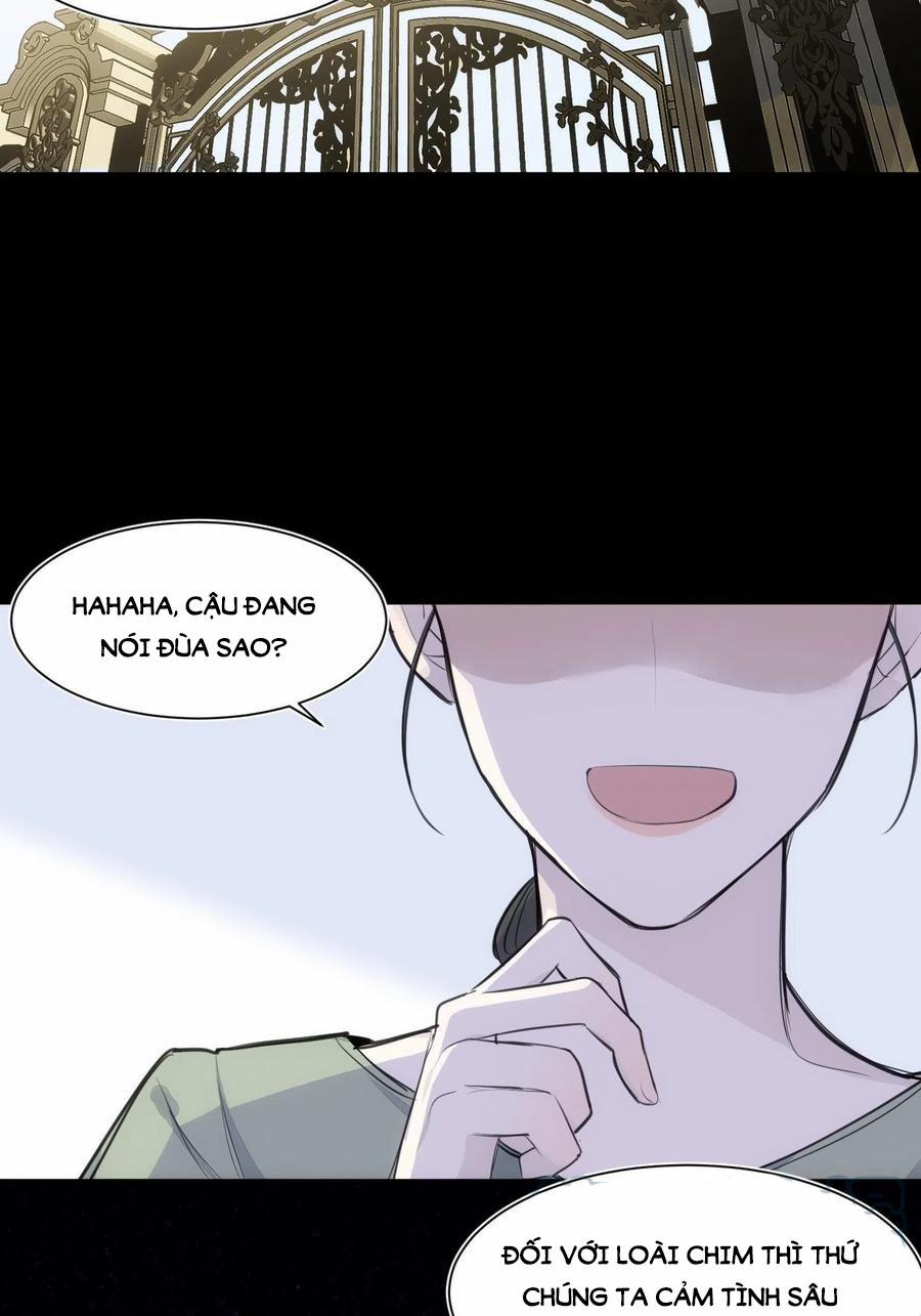 Báu Vật Chia Đôi 36 trang 10