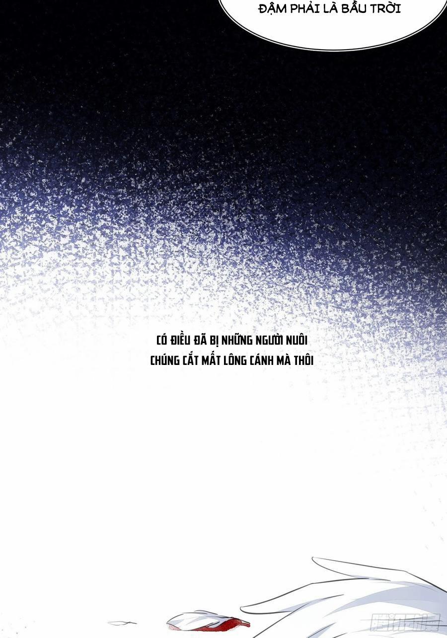 Báu Vật Chia Đôi 36 trang 11