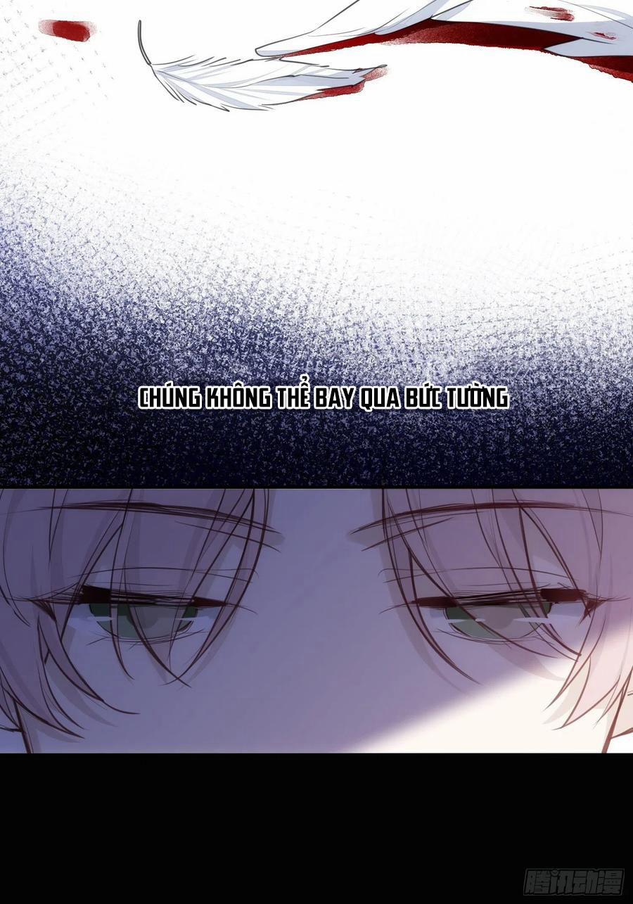 Báu Vật Chia Đôi 36 trang 12