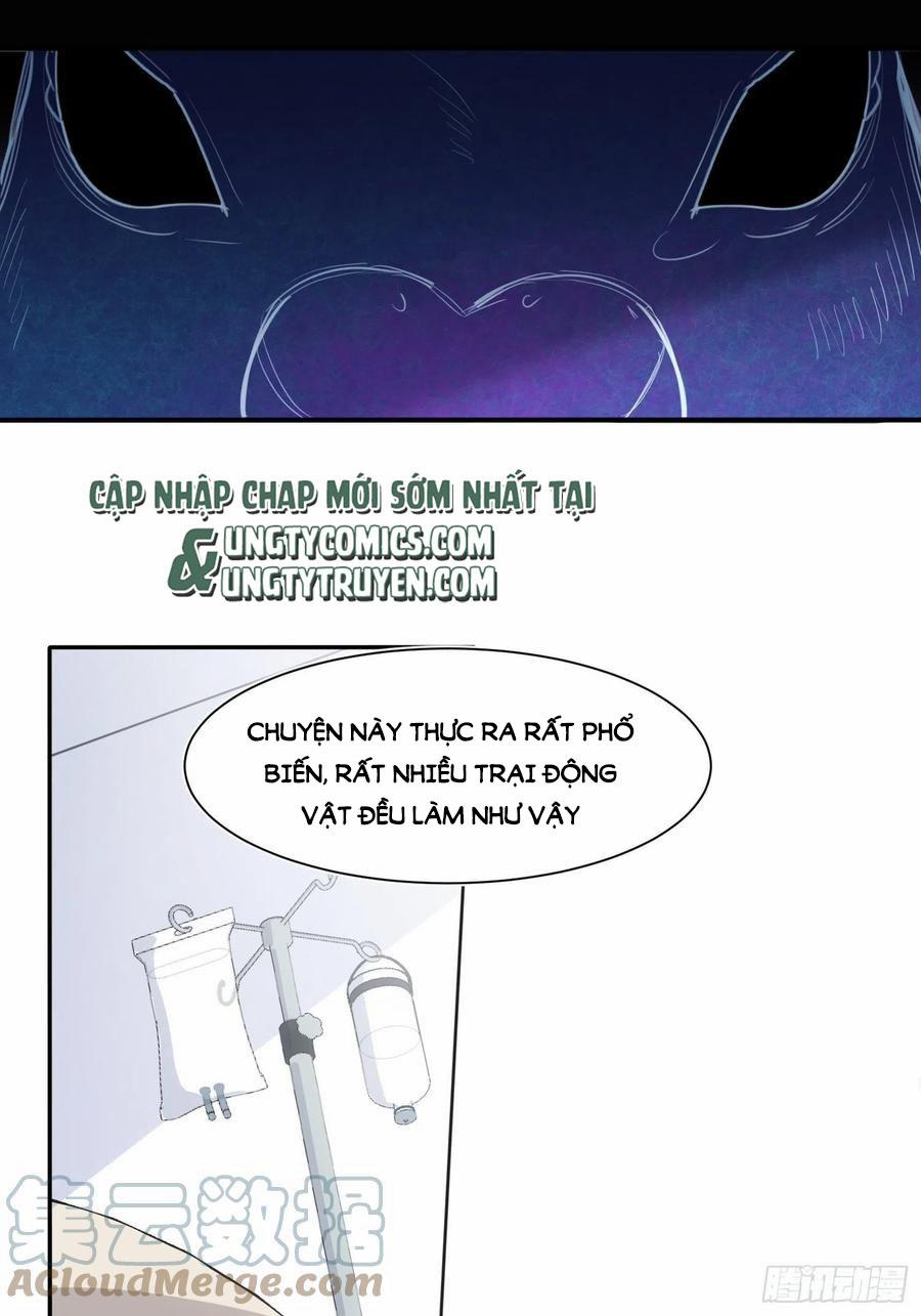 Báu Vật Chia Đôi 36 trang 13