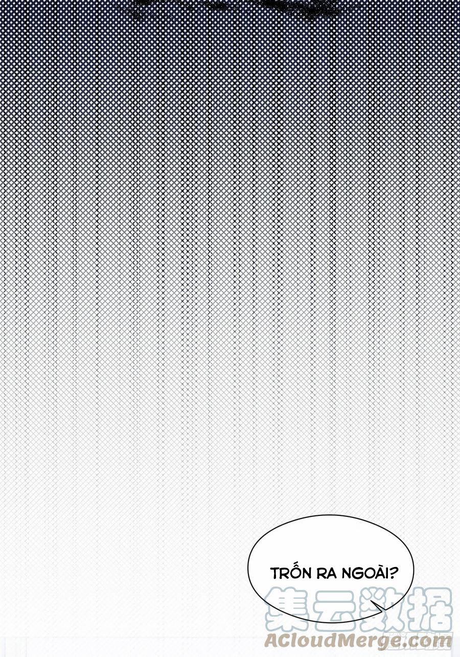 Báu Vật Chia Đôi 37 trang 23