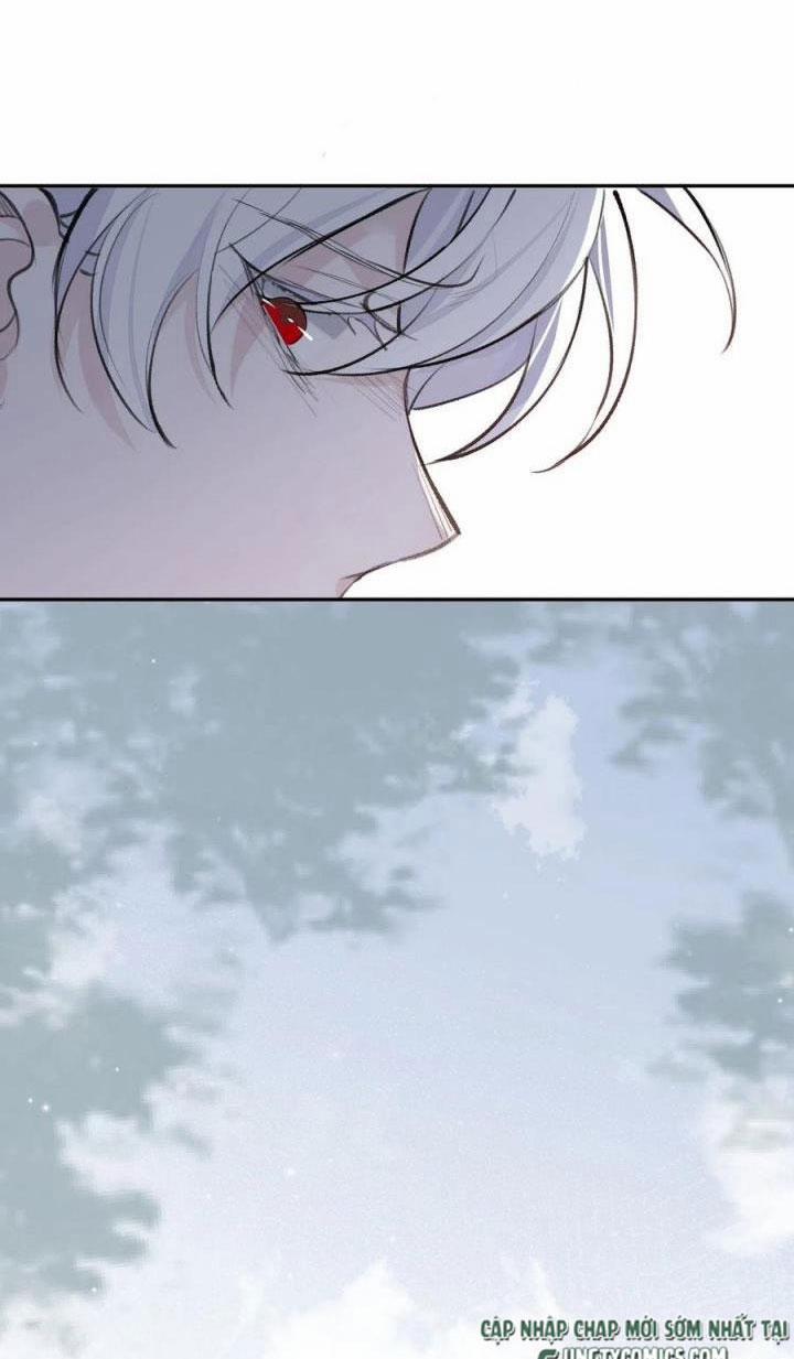 Báu Vật Chia Đôi 41 trang 19