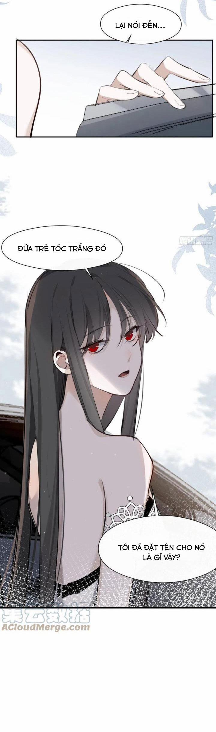 Báu Vật Chia Đôi 41 trang 24