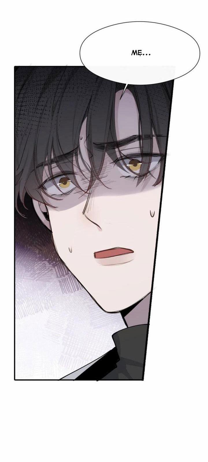 Báu Vật Chia Đôi 41 trang 5