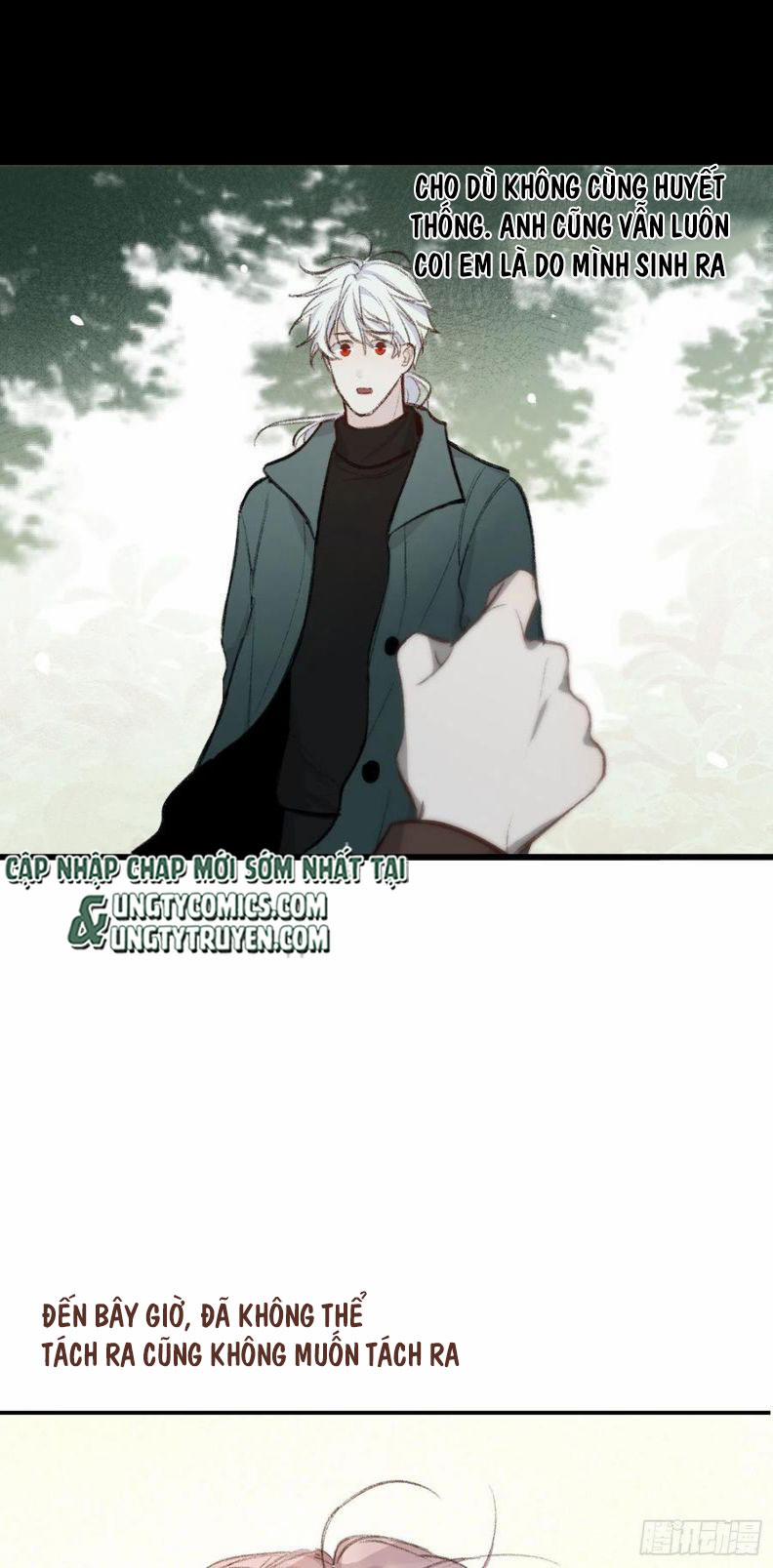 Báu Vật Chia Đôi 56 trang 12