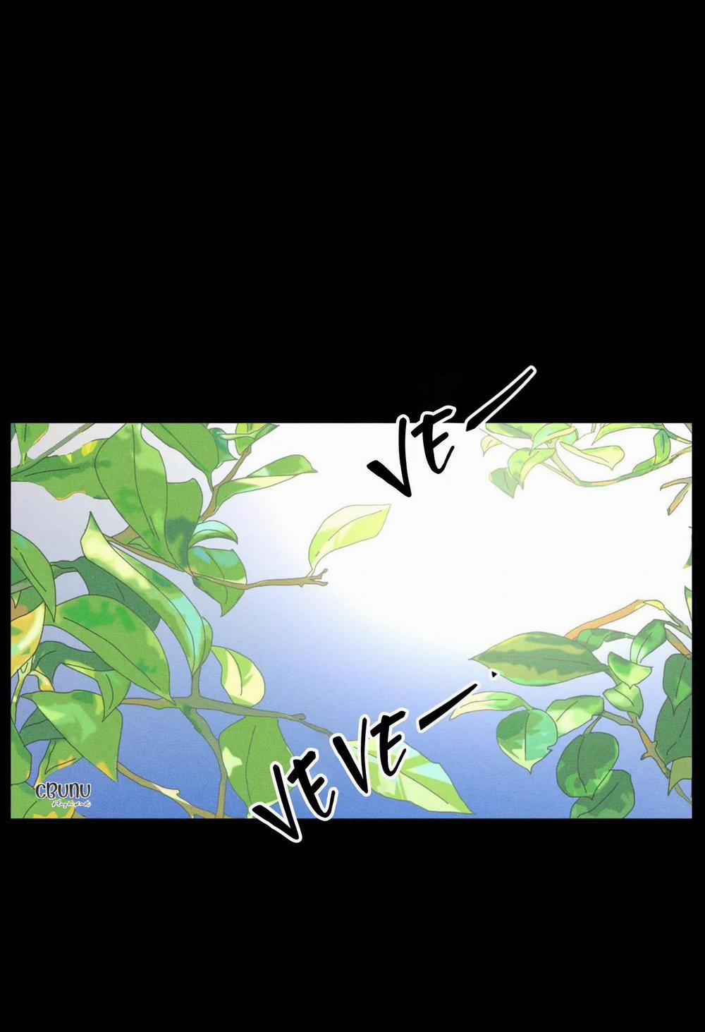 Bẫy Đôi Ngọt Ngào 11 trang 2