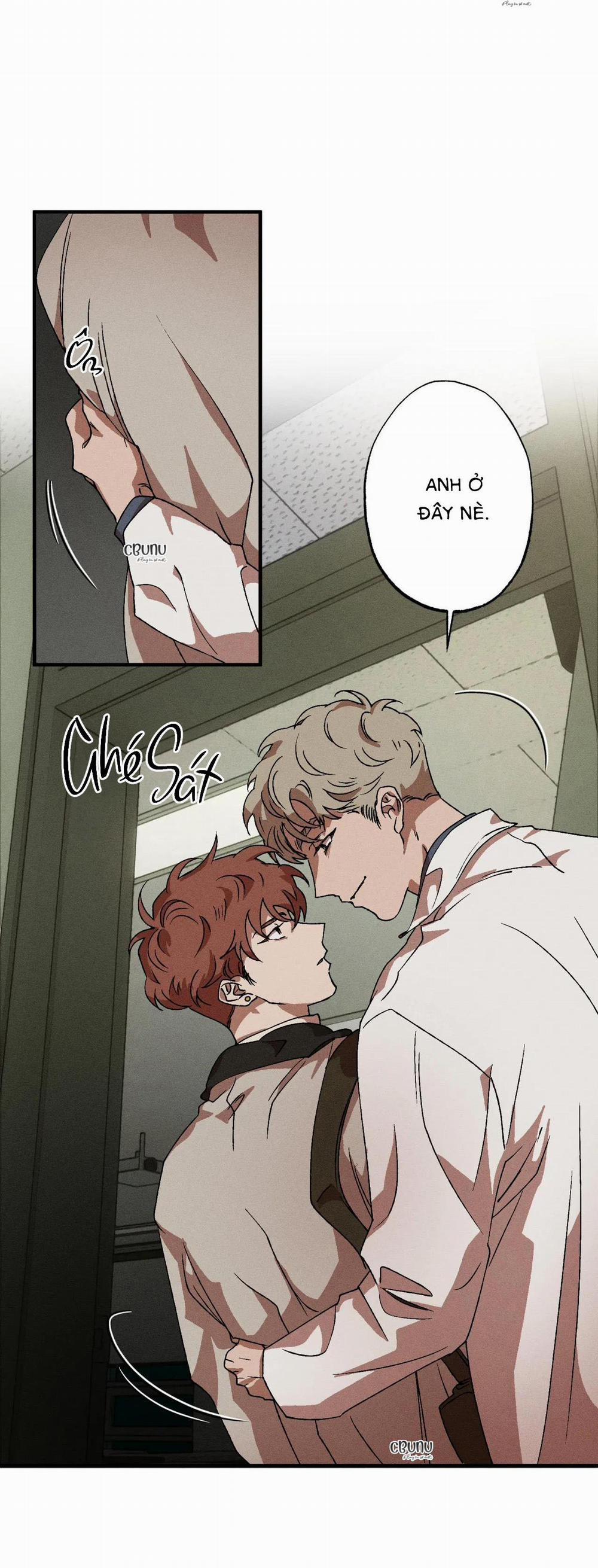 Bẫy Đôi Ngọt Ngào 32 trang 14