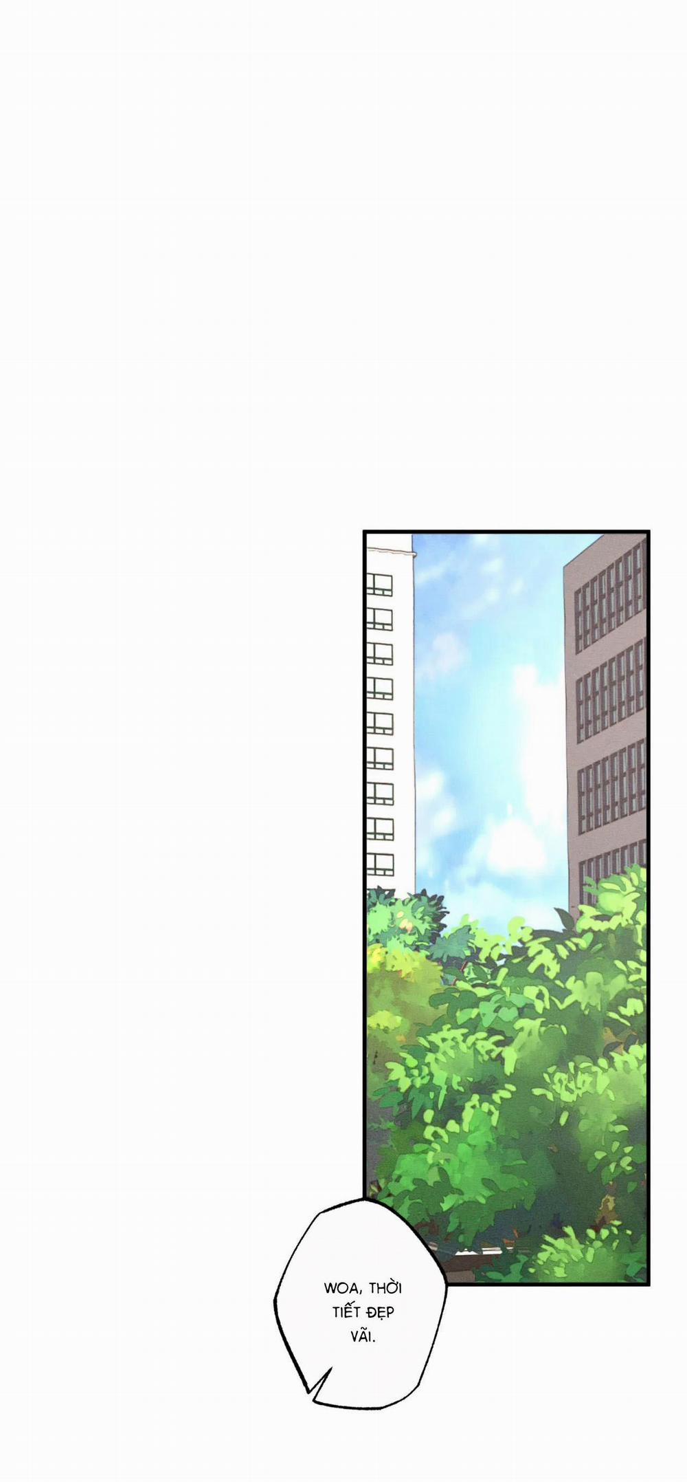 Bẫy Đôi Ngọt Ngào 42 trang 33