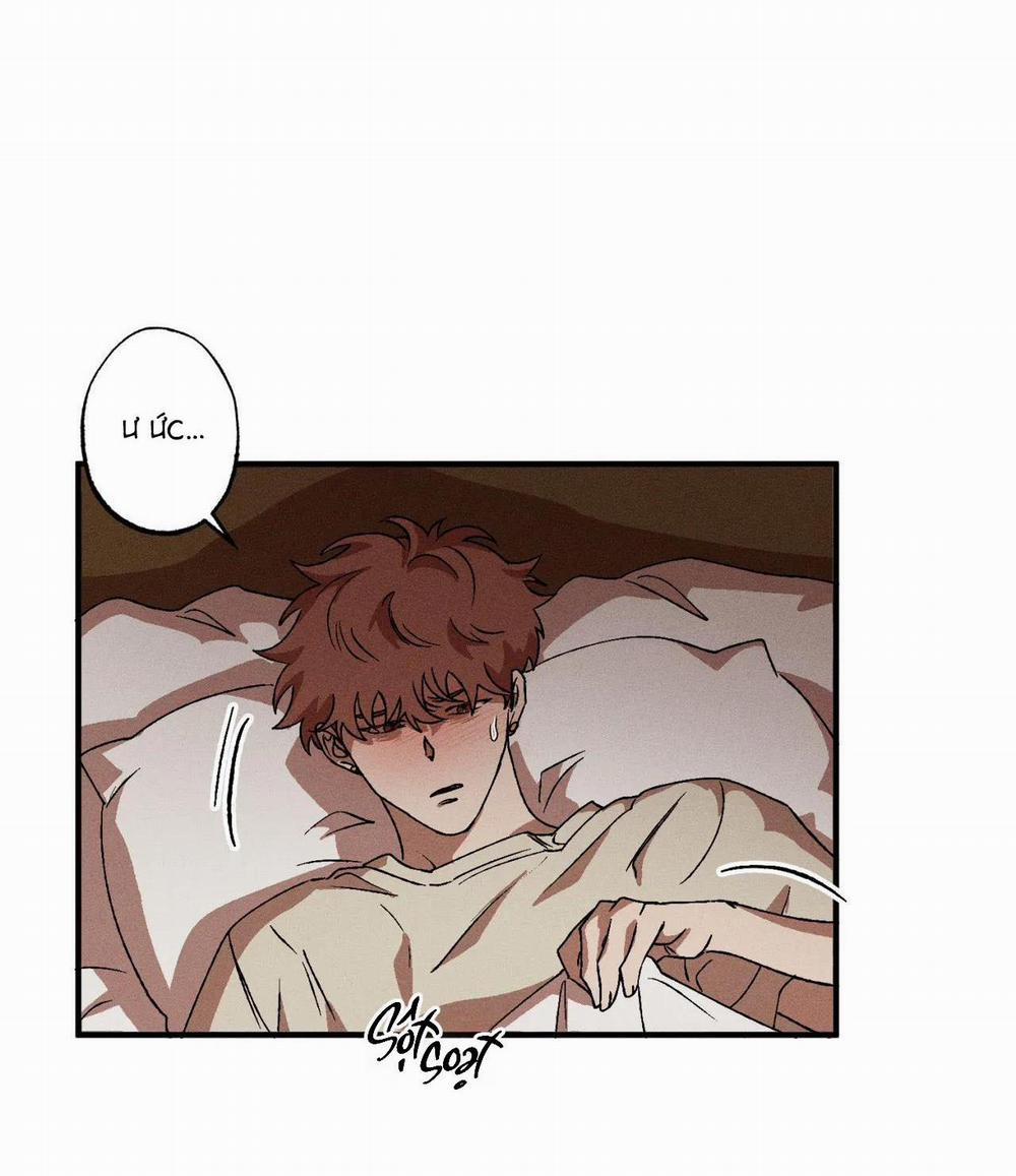 Bẫy Đôi Ngọt Ngào 47 trang 52