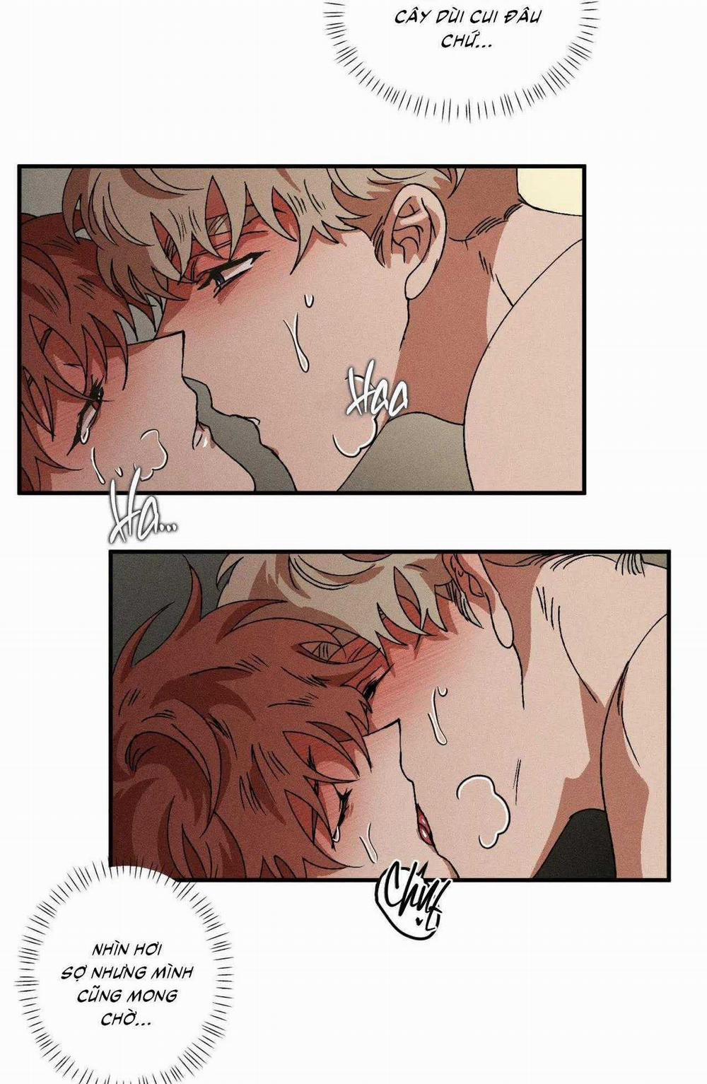 Bẫy Đôi Ngọt Ngào 74 trang 22