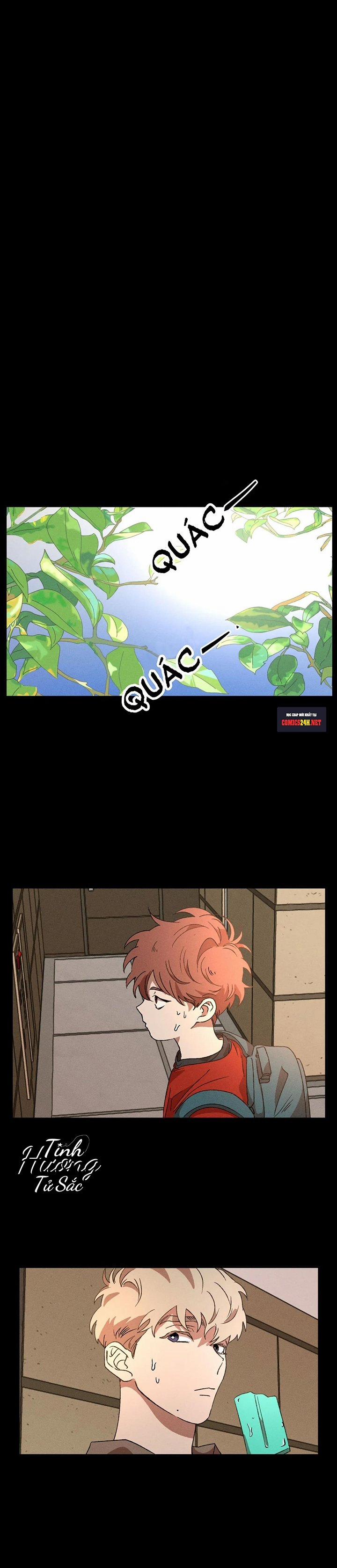 Bẫy Kép 11 trang 0