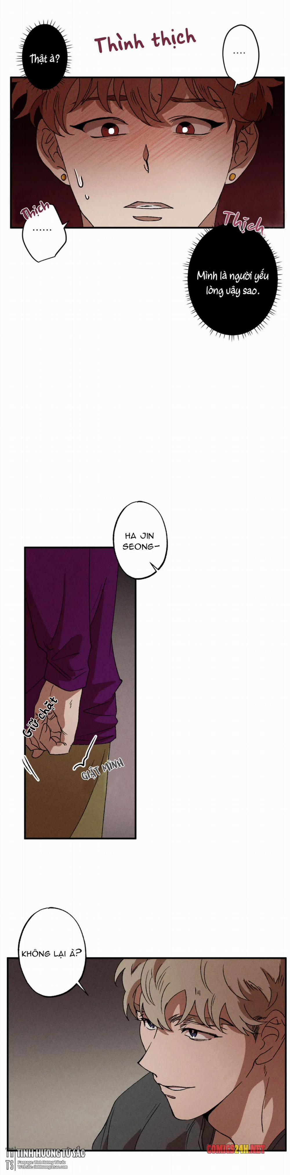 Bẫy Kép 19 trang 11