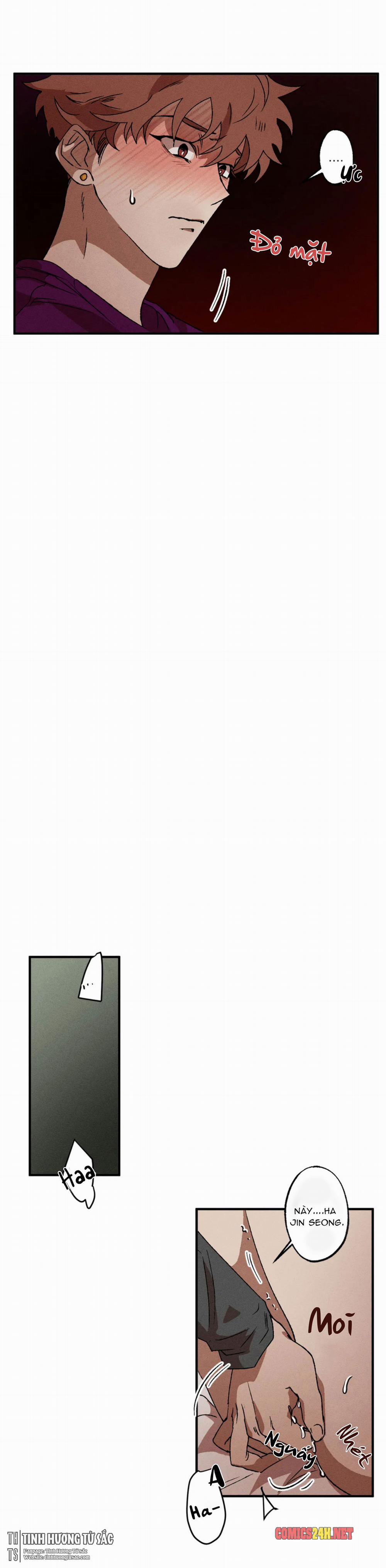 Bẫy Kép 19 trang 13